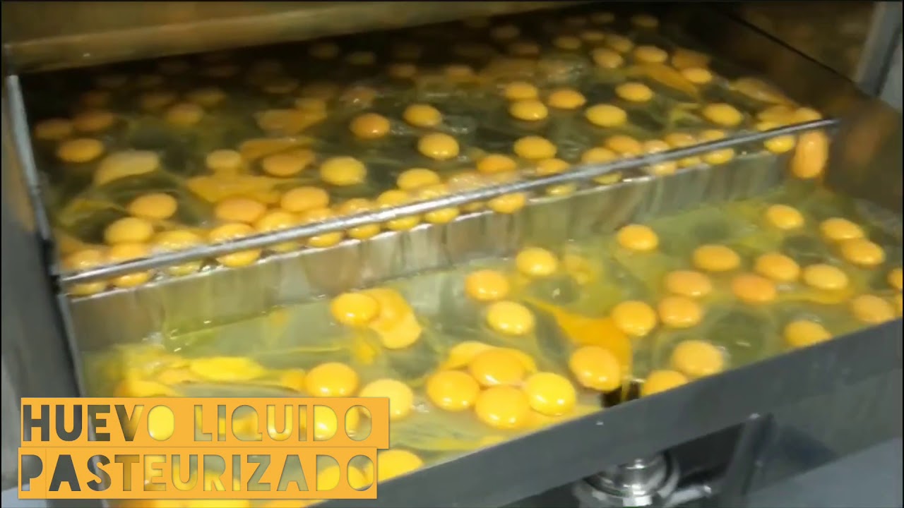 Huevo líquido pasteurizado, Granja Rodríguez- Conil de la fra.
