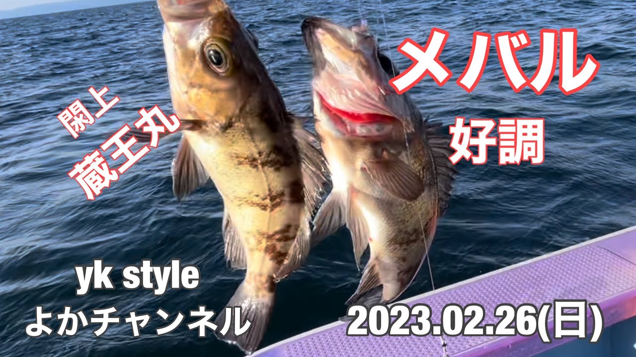 2023.02  メバル　好調　蔵王丸　刺身　煮付け　唐揚げ　塩焼き