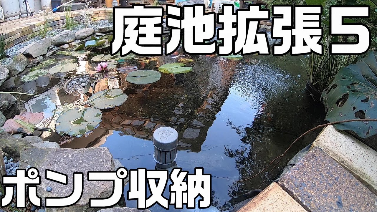 【池作り】庭池の拡張、ポンプを雨水枡に入れちゃいます。