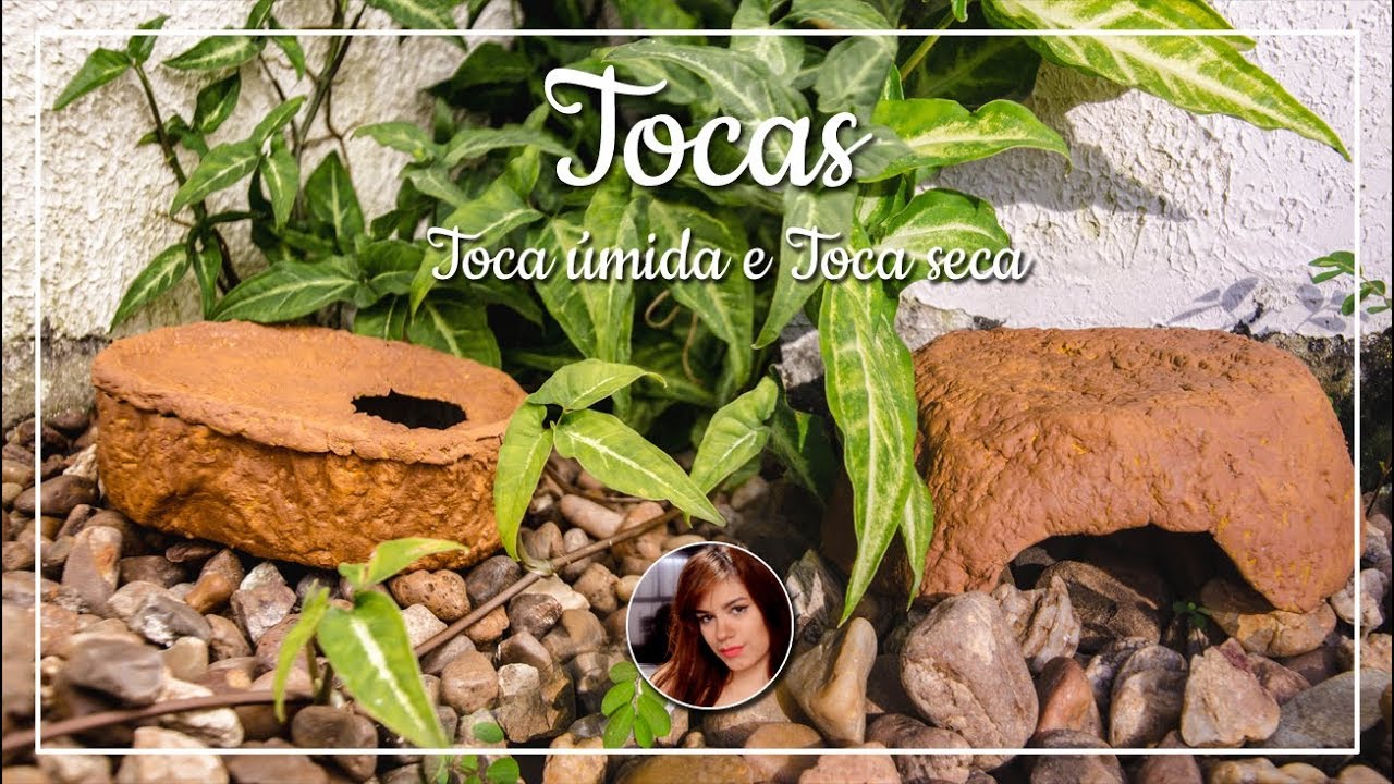 Tocas: Úmida e Seca