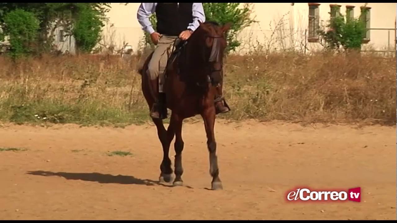 'Parada a Raya' -PGM 12- (22/06/16)