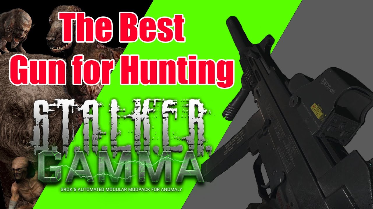 The best Gun for hunting in STALKER GAMMA