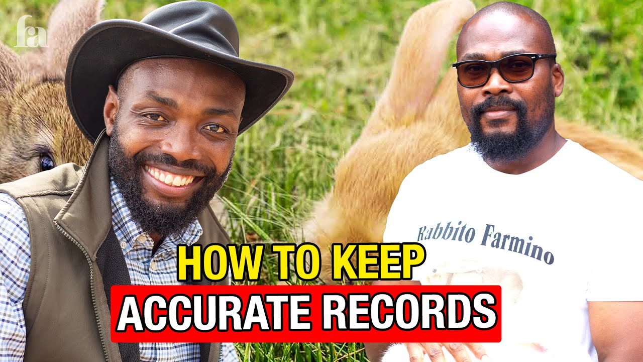 HOW TO SCALE UP YOUR RABBIT FARMING BUSINESS THROUGH PROPER RECORDS KEEPING