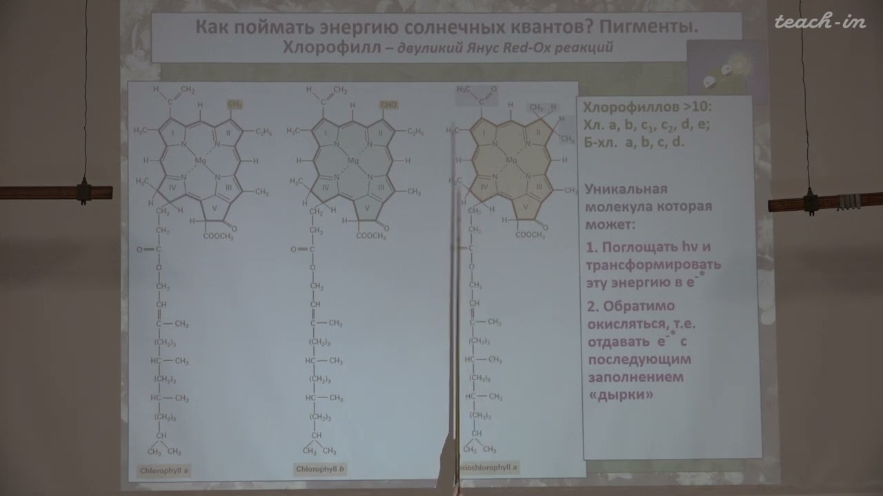 Константинова С.В. - Физиология и биохимия растений  - 6. Фотосинтез