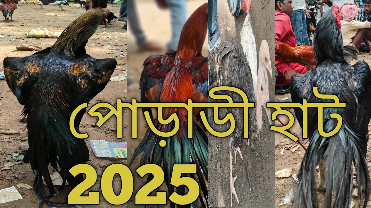 Jhilimilli Natural Beauty Of Bankura lJhilimili Poradi Market 2025 Sujit Mandi Vlog 