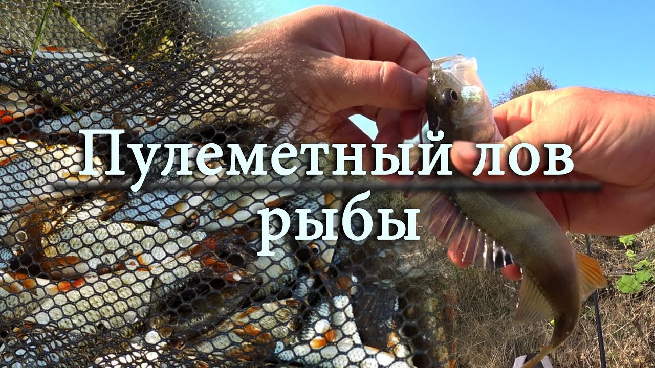 VLOG: Рыбалка. Пулеметный лов рыбы.