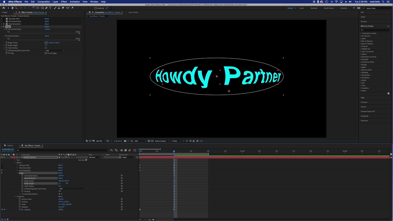 Visual Design for Multimedia - Intro to Effects & Presets