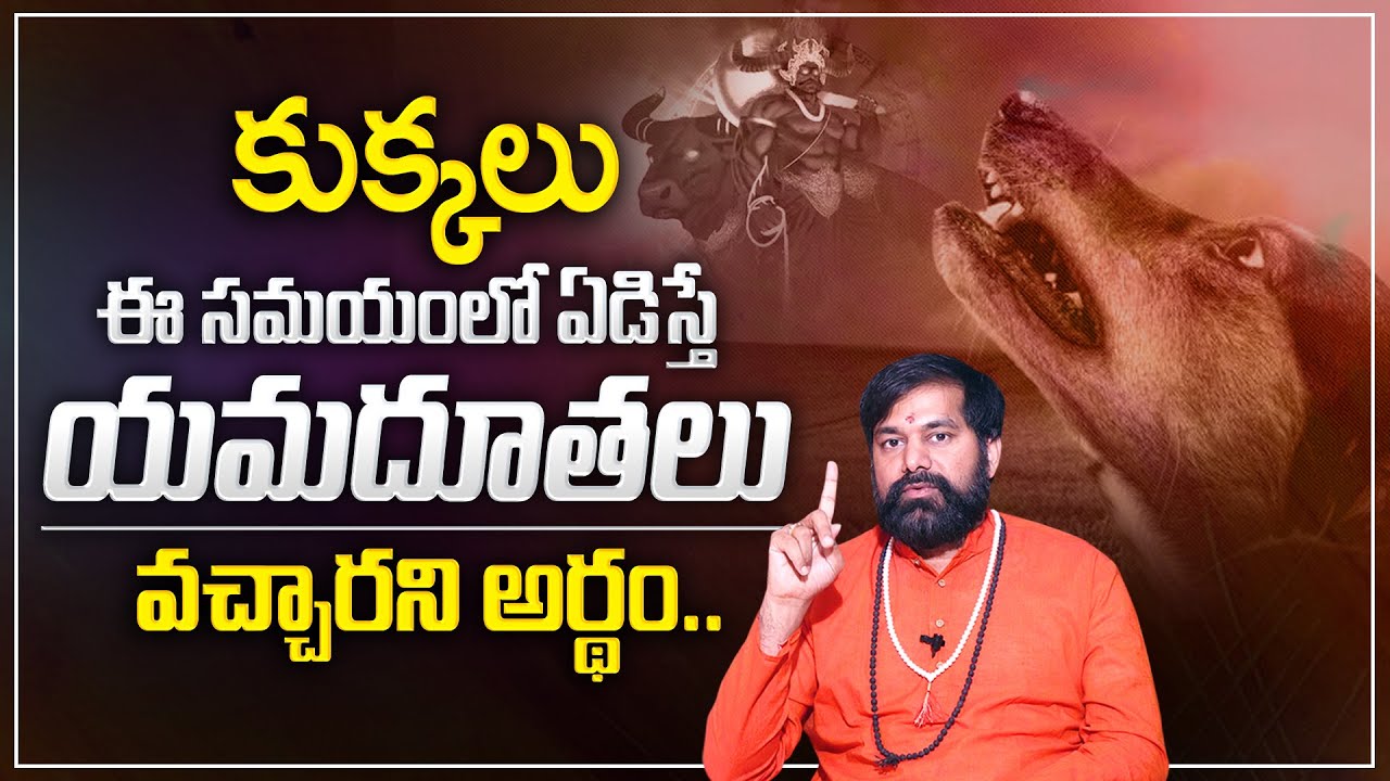 Pradeep Joshi : కుక్కలకి యమదూతలు కనిపిస్తారా? | Is Dog Crying At Night Time Dangerous? | M Qube