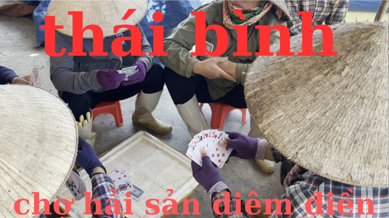 tham quan chợ hải sản diêm điền thái bình