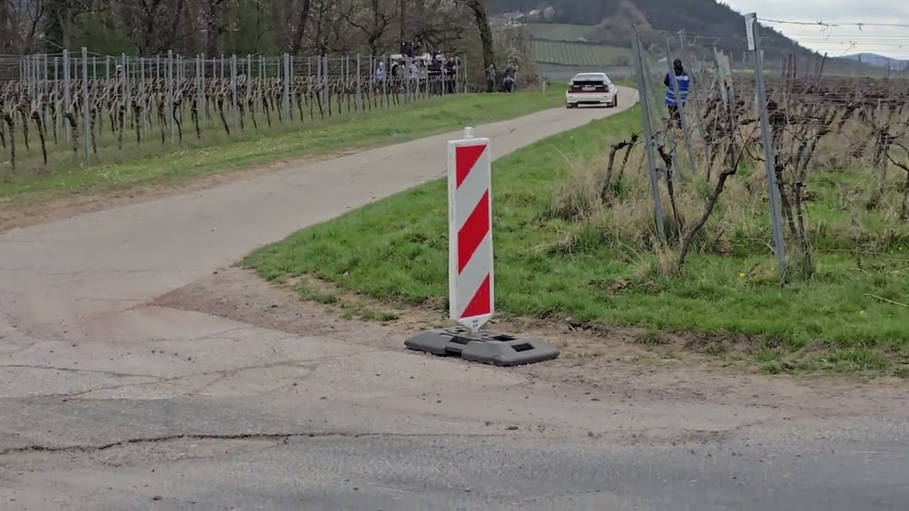 Ralley Südliche Weinstraße 29.03.2025