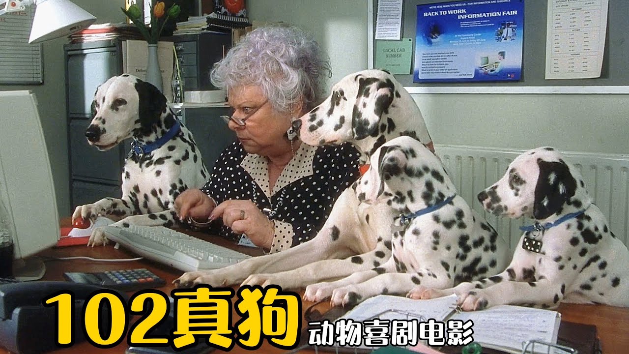 这些斑点狗可真聪明，不但跟老奶奶玩游戏，还将女魔头做成了蛋糕