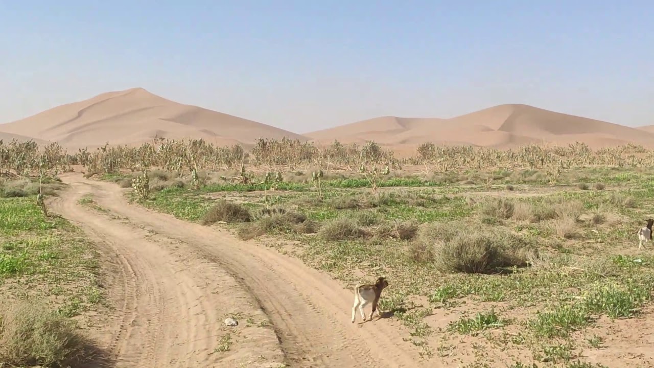Maroc Piste Désert M'Hamid Tissint Lac Iriki