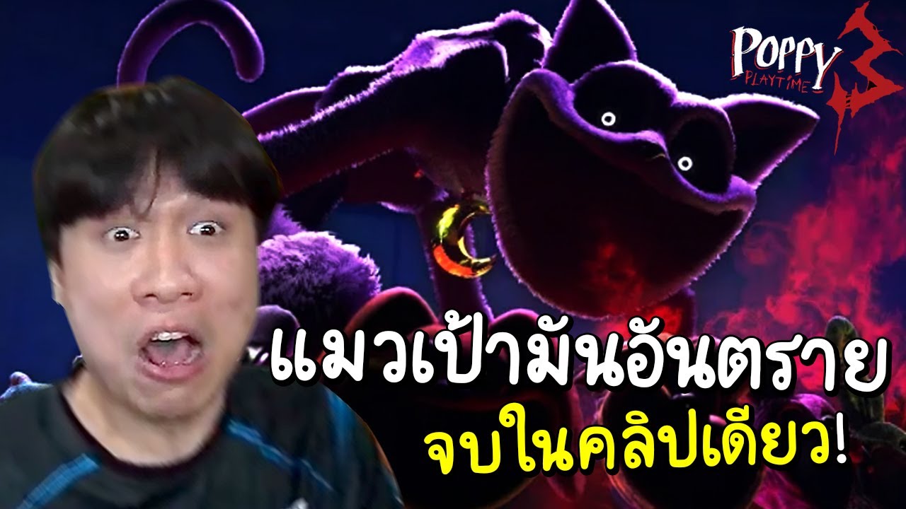 แมวเป้าแมวผีตัวนี้