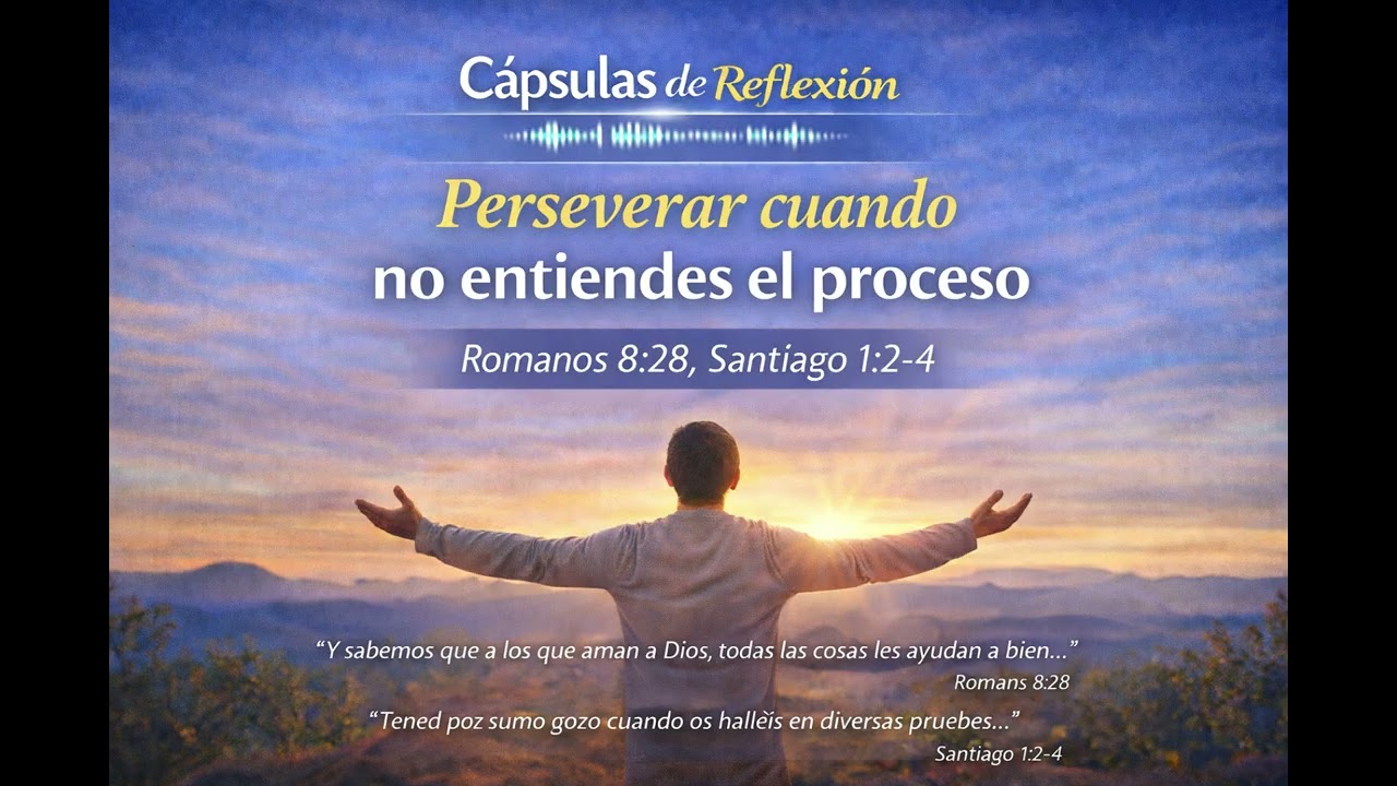 capsula 7 Perseverar  cuando  no  entiendes  el  proceso