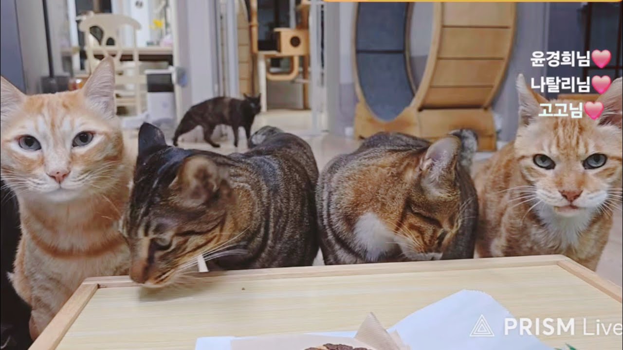 금동,수호 외모 쵁!!!!