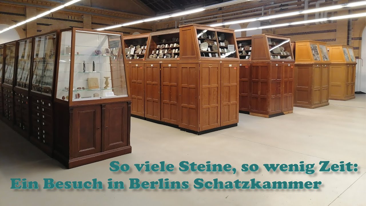 Die riesige Geowissenschaftliche Sammlung Berlin - Ein Traum für Hobbysammler und Profis