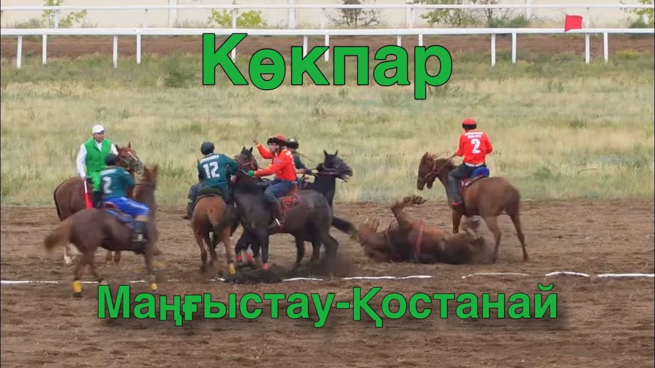 Көкпар. Маңғыстау-Қостанай
