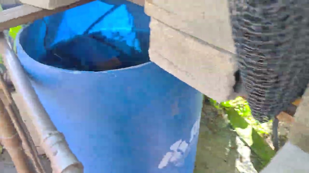 Bomba nova no laquinho 