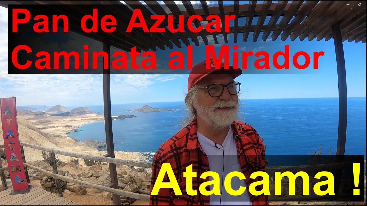 Caminata al Mirador - Parque Nacional Pan de Azúcar en Atacama