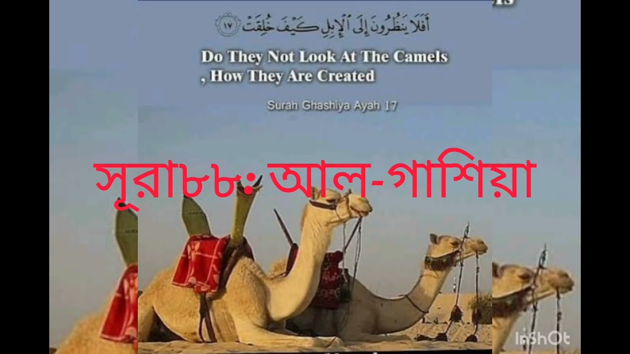 88: Surah Al Ghasiyah