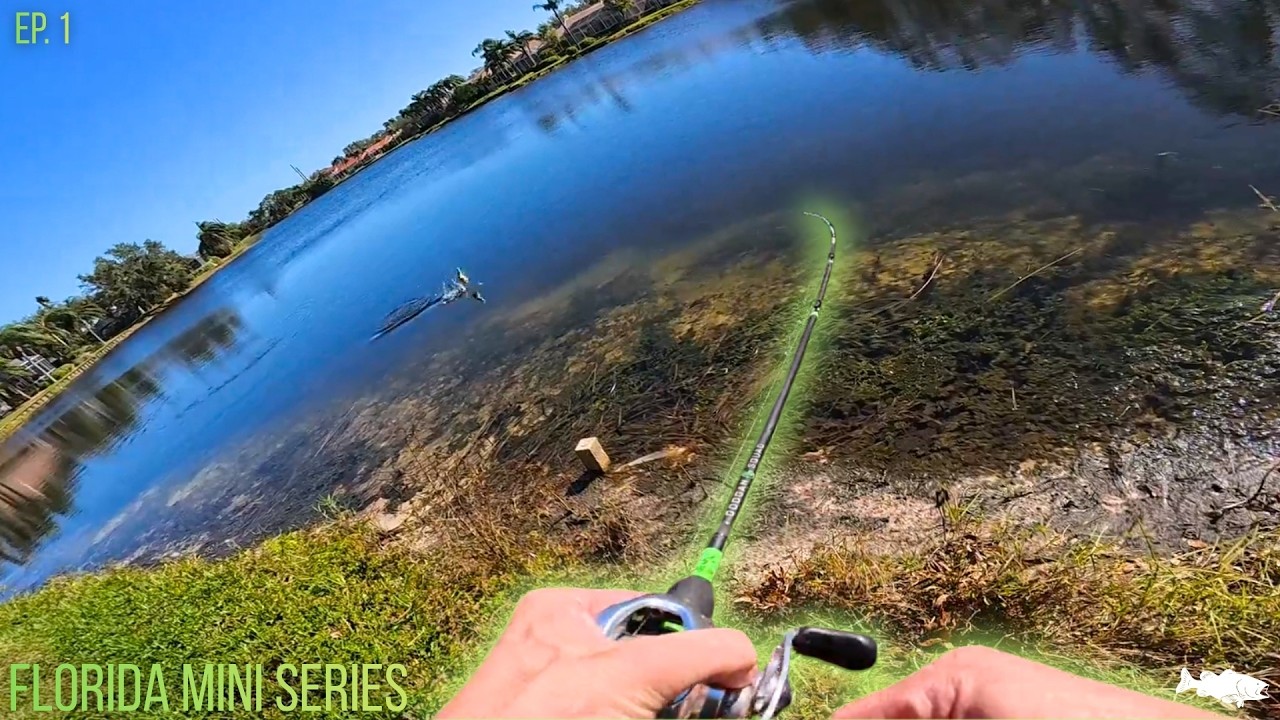 Flying To Florida To Catch Golf Pond Bass! -- Florida Mini Series Part 1