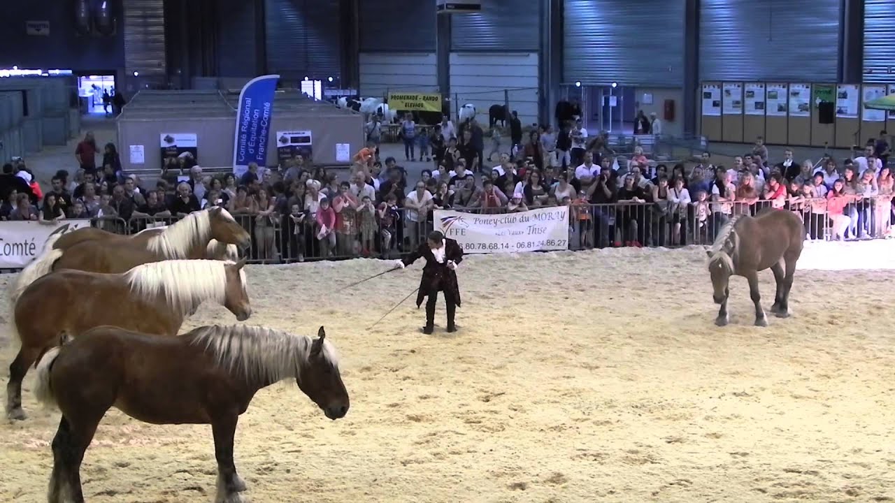 Foire Comtoise 2014 - Spectacle Jéhol / Les Comtois en Folie - Tableau 7