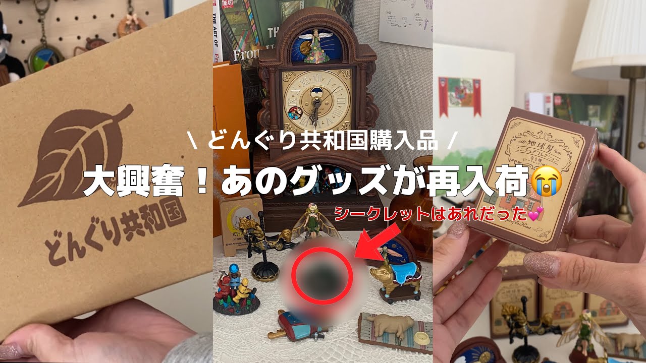 どんぐり共和国購入品🌳ランダムグッズを箱買いしたら可愛すぎた😭💕ジブリ|どんぐり共和国|購入品|ランダムグッズ開封