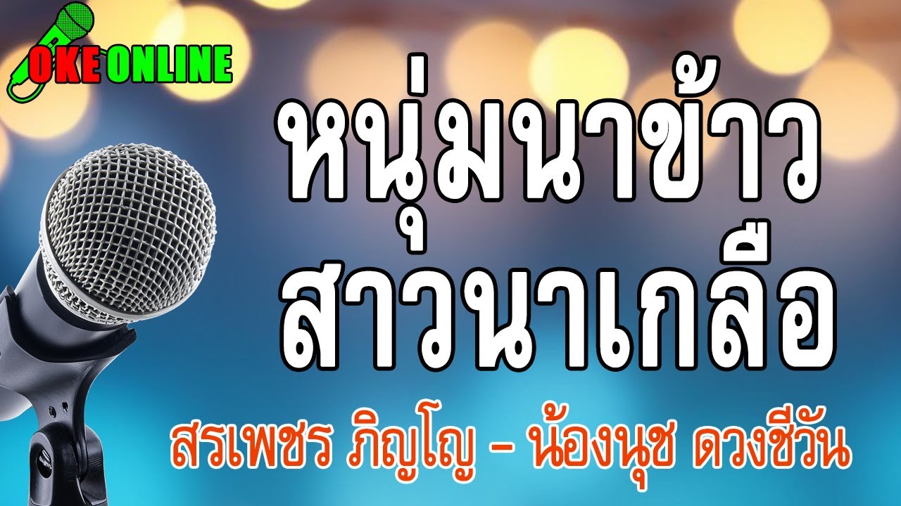 หนุ่มนาข้าว สาวนาเกลือ คาราโอเกะ