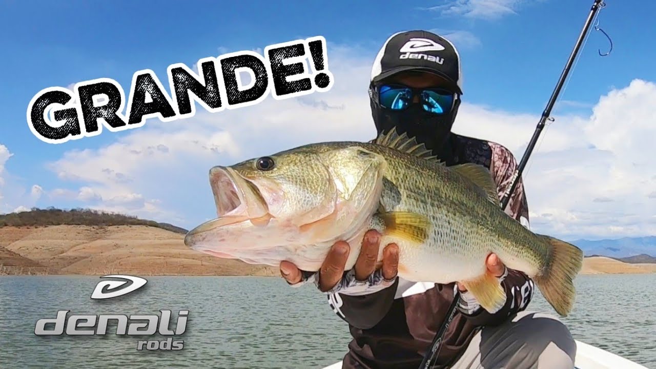 Confío en este COMBO de Pesca para GRANDES GRANDES