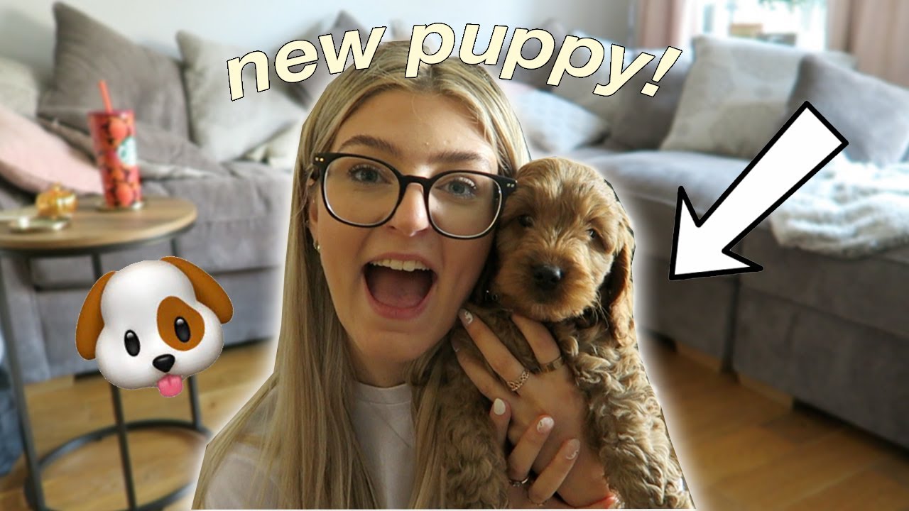 PICKING UP MY COCKAPOO PUPPY + HAUL!