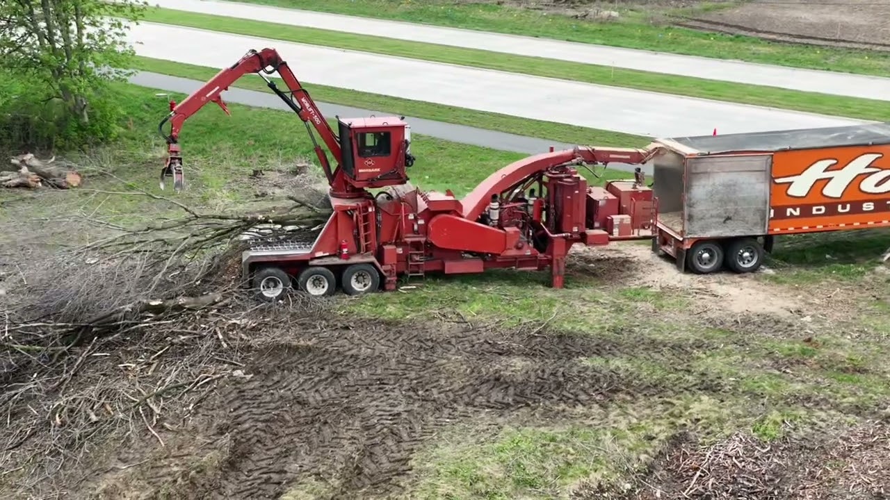 Homer Tree Service - Land Clearing Experts