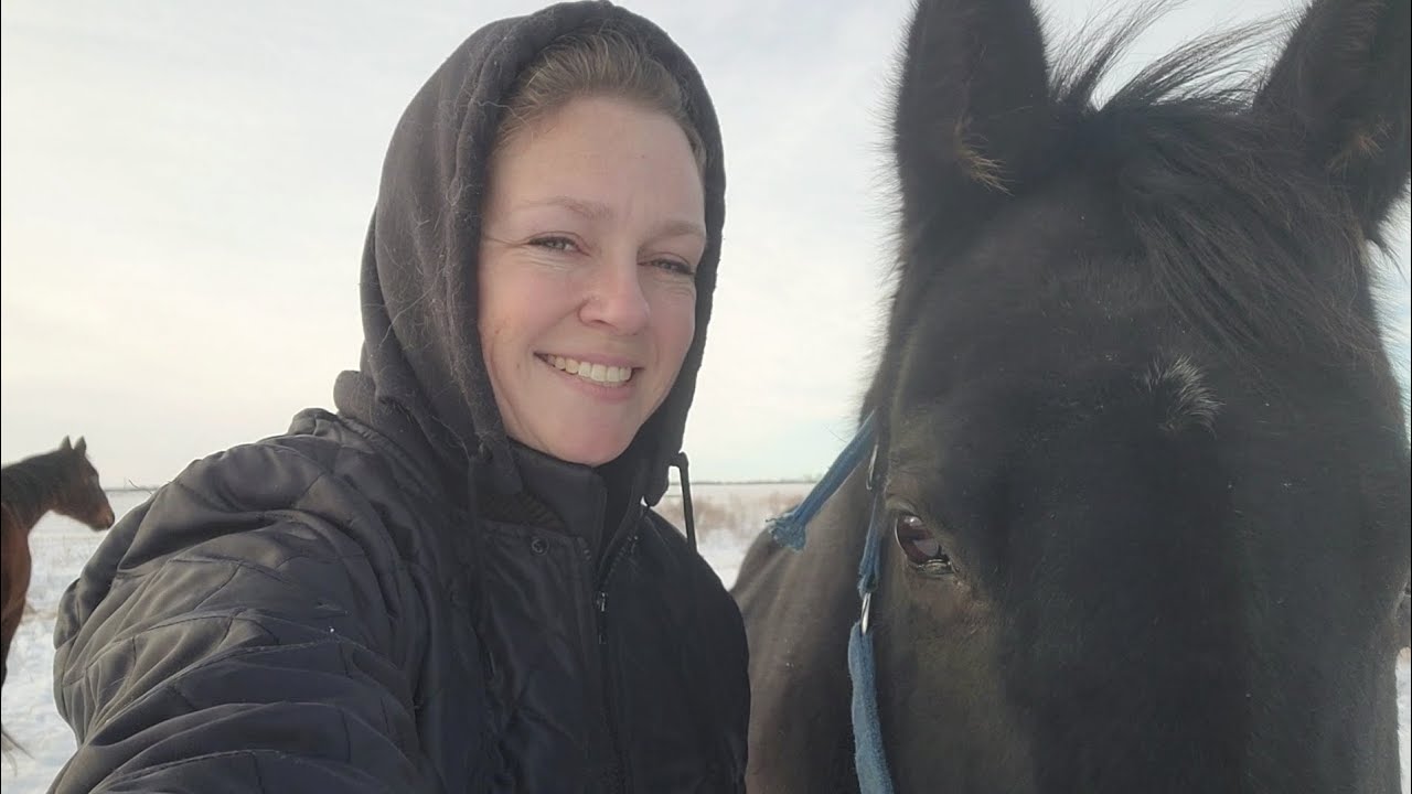 Goal Success, Vlog FAIL! -Winter Horse Riding Vlog