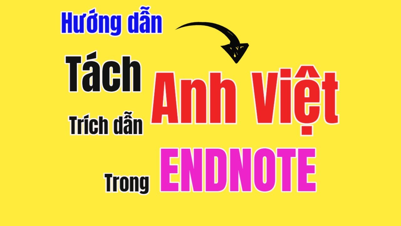 Hướng dẫn cách tách trích dẫn Anh và Việt trong Endnote | TS.BS.Vũ Duy Kiên