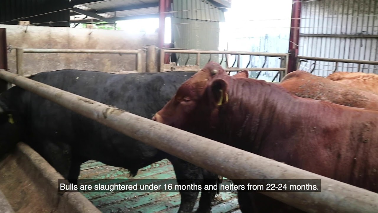 BETTER farm: Ger McSweeney, Cork