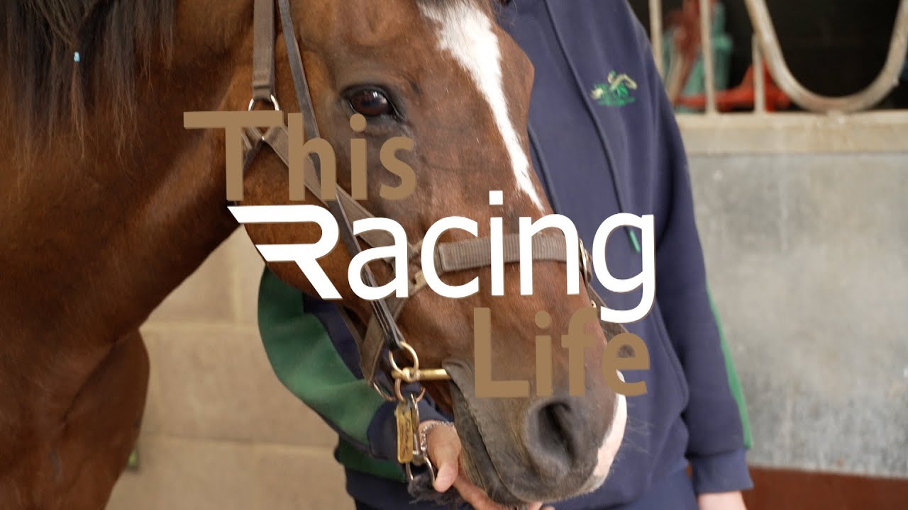 HEROS Charity, Ollie Sangster & Henry Candy | This Racing Life