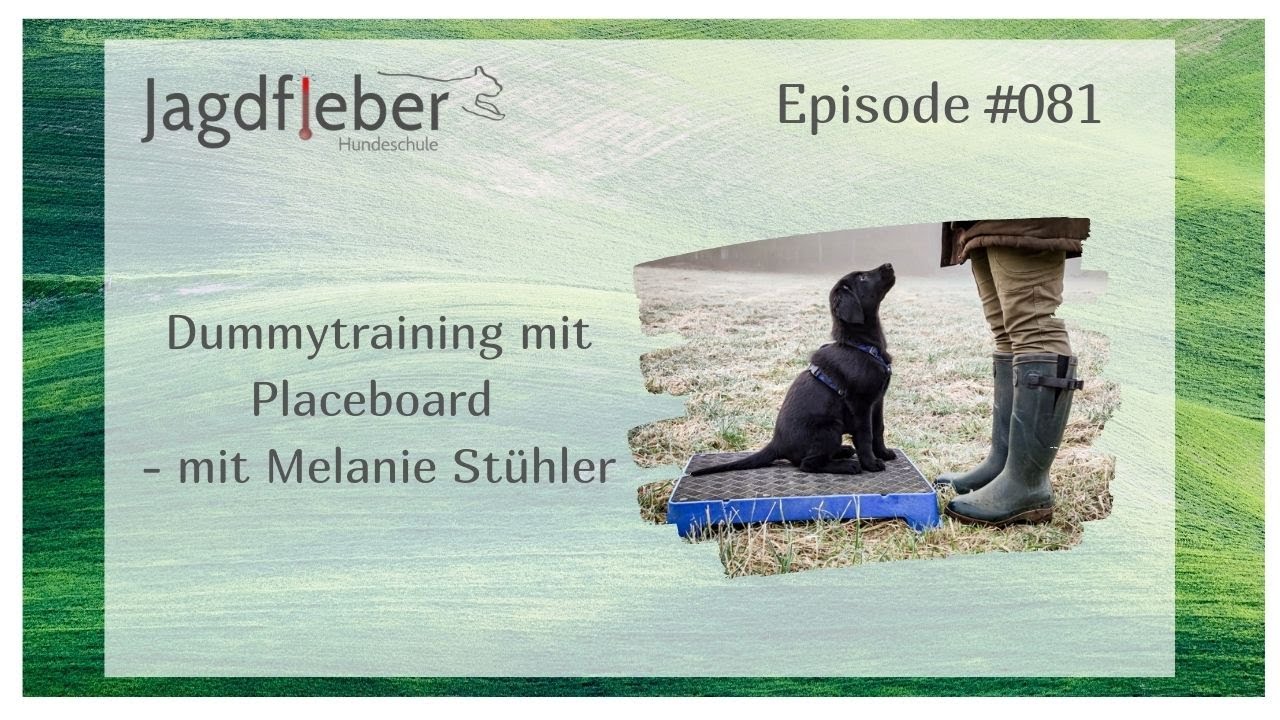 P081: Dummytraining mit Placeboard - mit Melanie Stühler