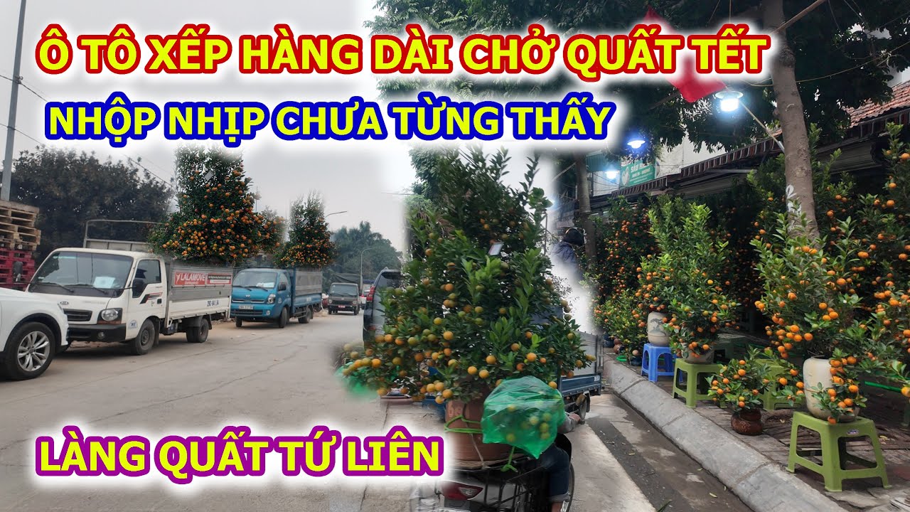 LÀNG QUẤT TỨ LIÊN NHỘN NHỊP CHƯA TỪNG THẤY Ô TÔ LỚN NHỎ RA VÀO TẤP NẬP
