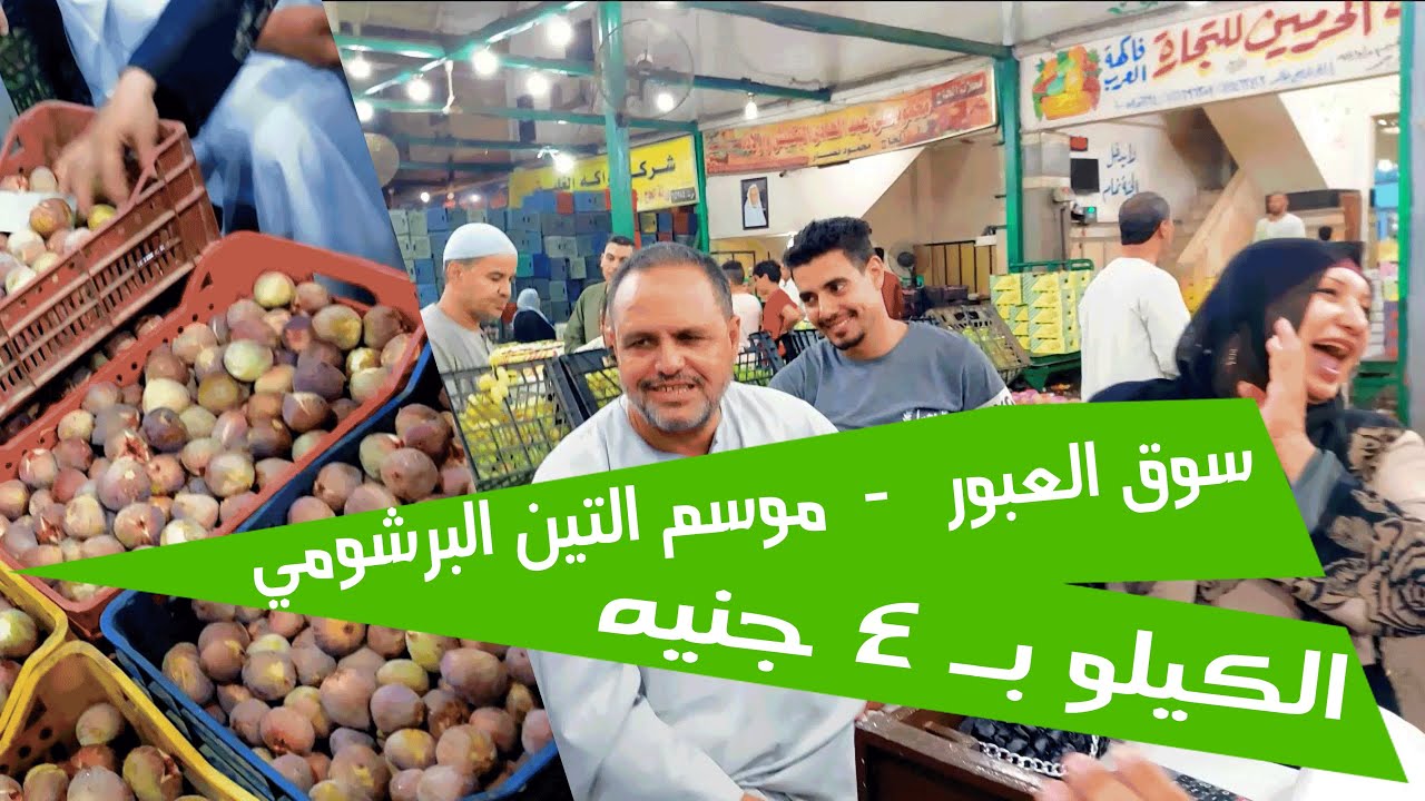 سعر التين البرشومي سوق العبور | اسعار التين البرشومي العبور | تين برشومي مرسي مطروح | سعر تين برشومي
