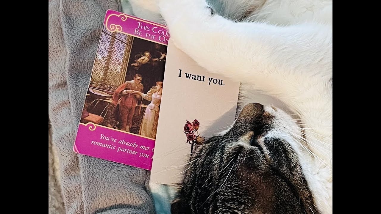 They're ready TO SHOW UP as a STRONG MASCULINE energy. The time spent with YOU has BEEN eye opening
