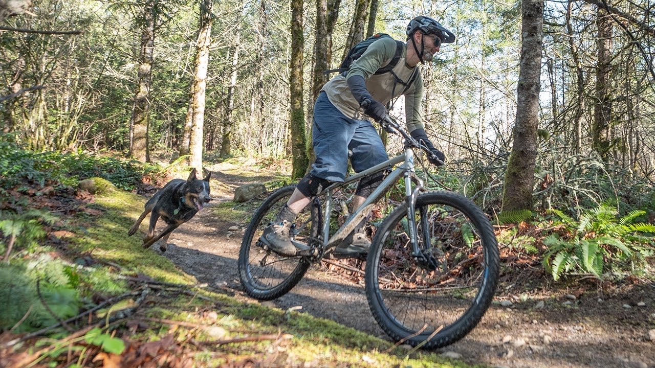 Tails & Trails on the Diamondback Hook