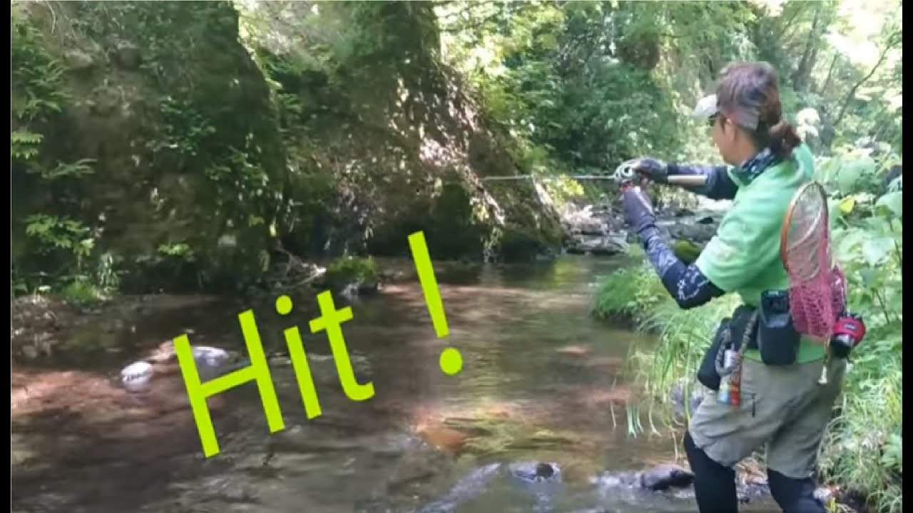渓流でスネコン50Sを使ってみたら…『リベンジ編！』【Fishman】