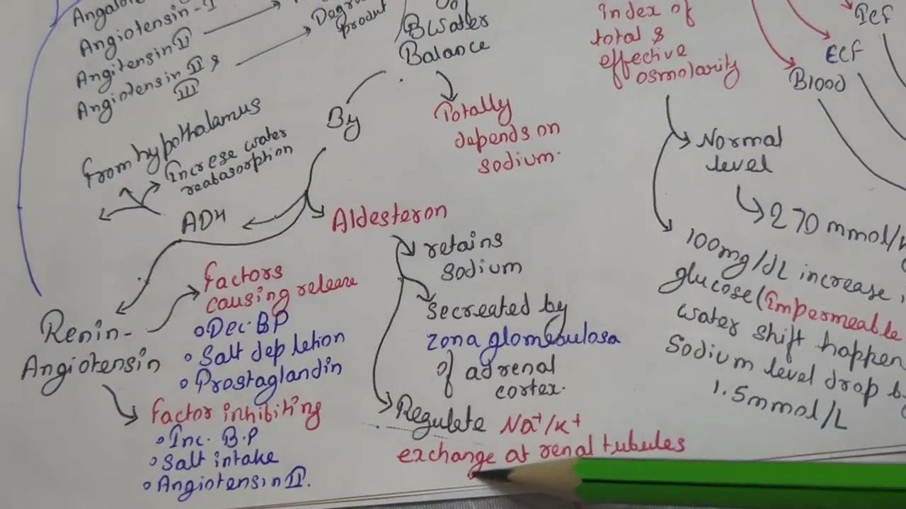 Water Balance 2