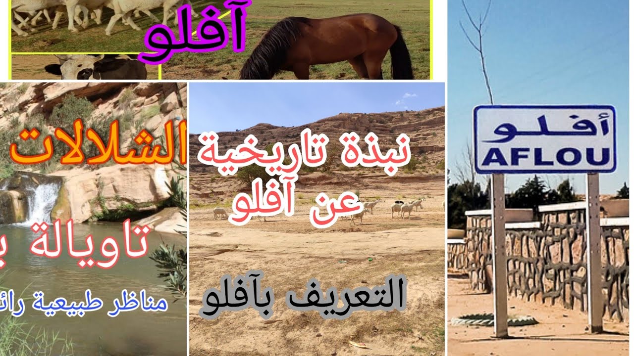 نبذة تعريفية وتاريخية عن مدينة افلو مع مناظر طبيعية خلابة