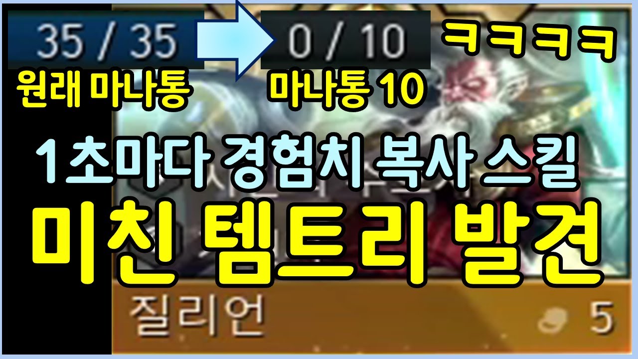평타 1대마다 무한으로 경험치를 찍어내는 기적의 경험치 복사 공장을 만들었습니다 ㅋㅋㅋㅋㅋ
