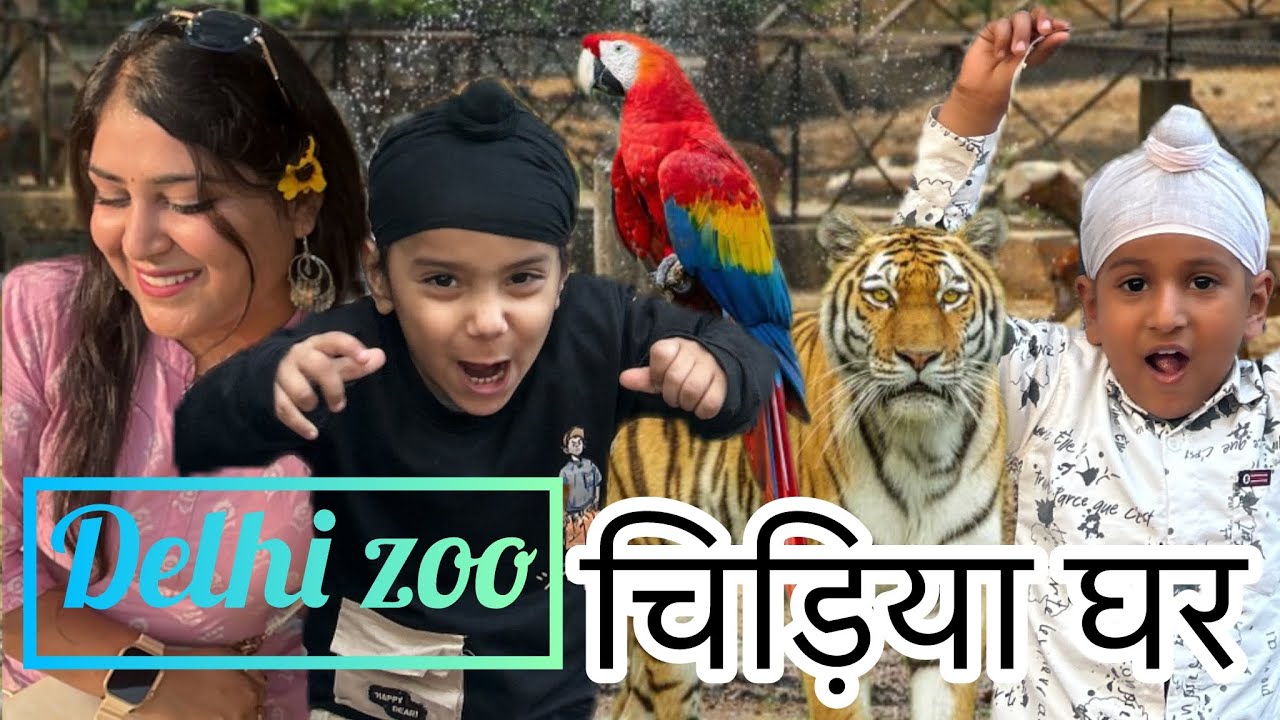 Aj hum gye Delhi zoo (चिड़िया घर)🦓🦖🦒🦣🦢🐍 |Delhi zoo | best place for kids. 