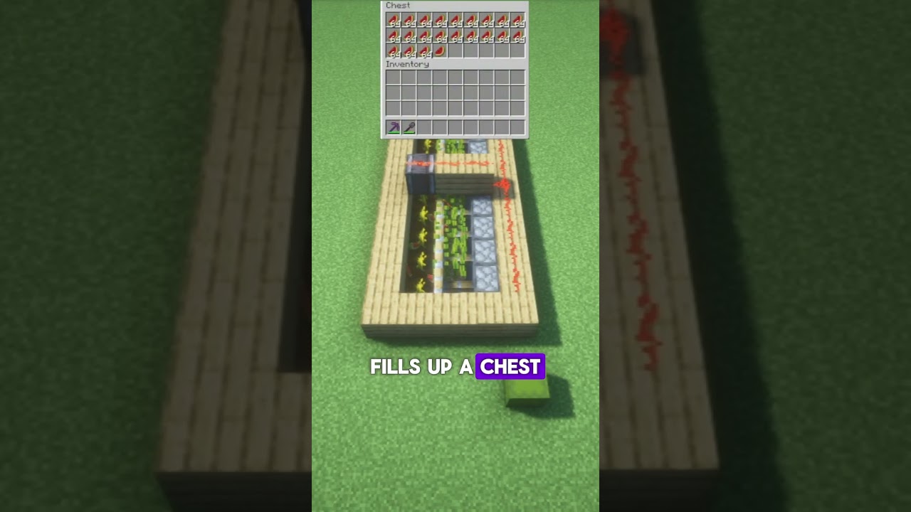 This Auto Melon & Pumpkin Farm Fills Up FAST! 🍉🎃 