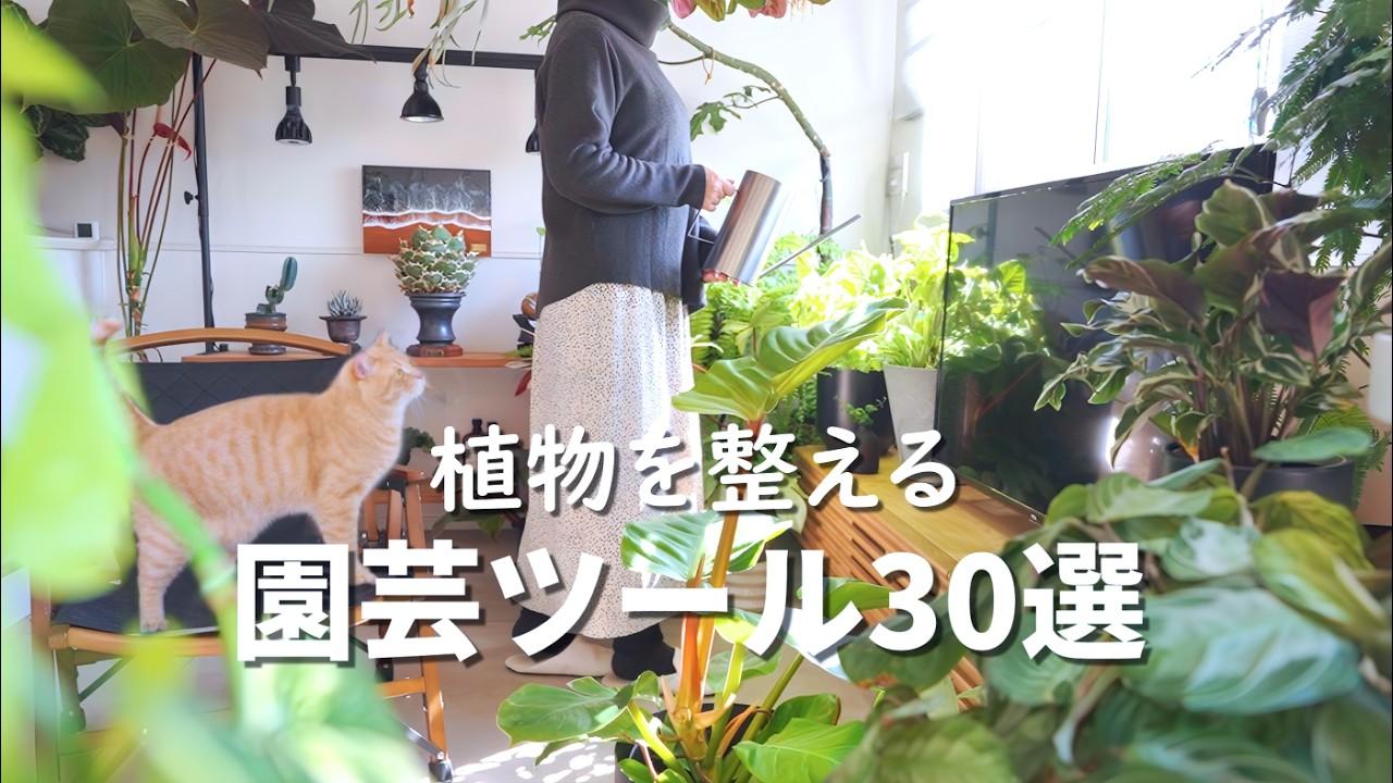 買ってよかった園芸用品30選🌿古株をスッキリ美しく仕立て直し