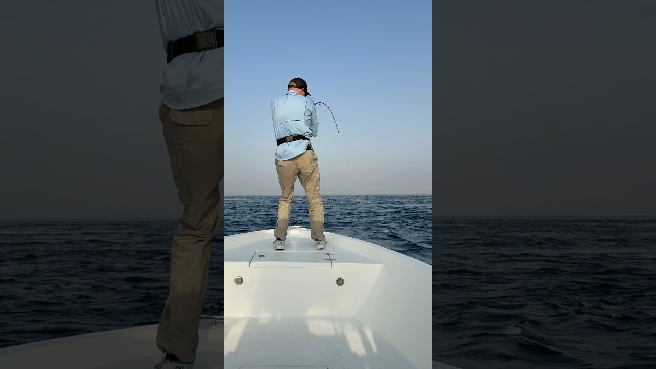 Как вытащить эту рыбу ? #оман #оманрыбалка #gtfishing