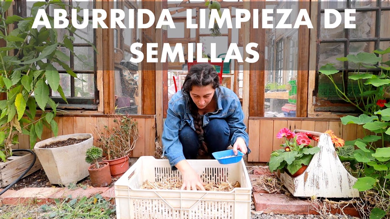 La parte que m&aacute;s me aburre de Huertear 😫 | La #Trilla (La importancia de la #Comunidad)