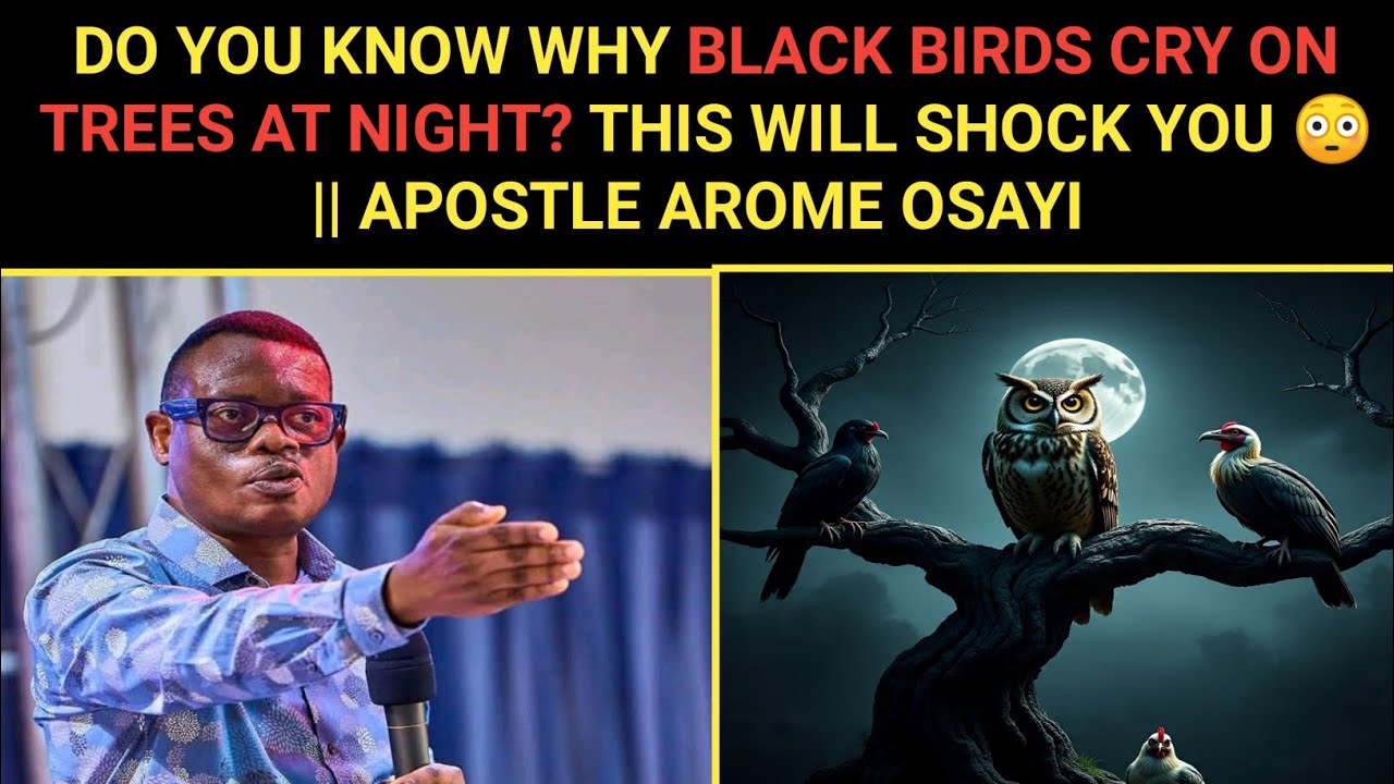 DO YOU KNOW WHY BLACK BIRDS CRY ON TREES AT NIGHT? THIS WILL SHOCK YOU 😳 || APOSTLE AROME OSAYI 